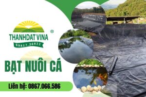 bạt lót ao nuôi cá